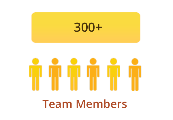 300+ Team members