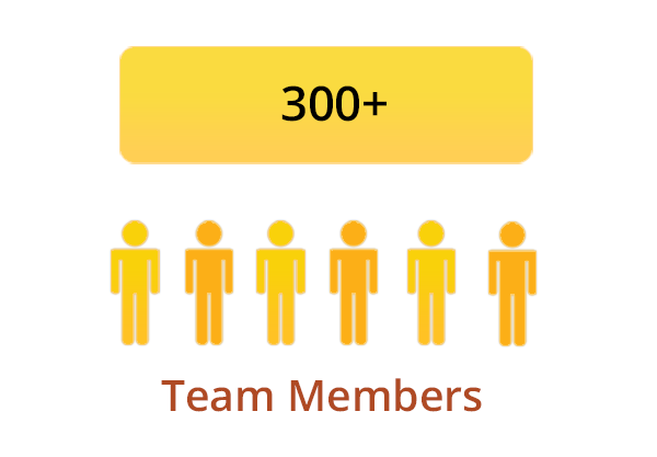 300+ Team members